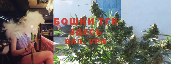 стафф Иннополис
