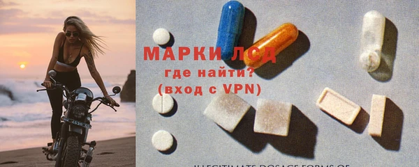 стафф Иннополис