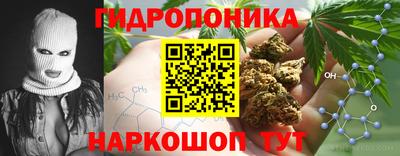 гашик Изобильный