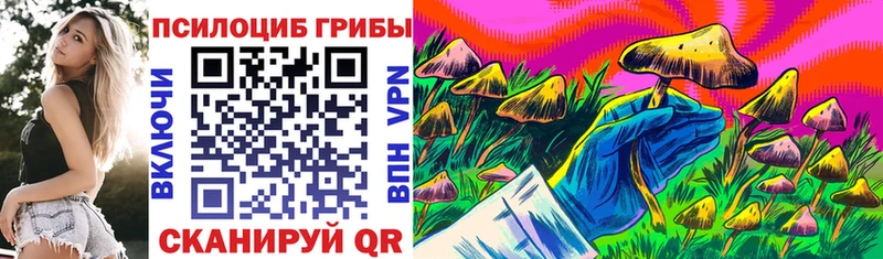 Галлюциногенные грибы Cubensis  Славянск-на-Кубани 