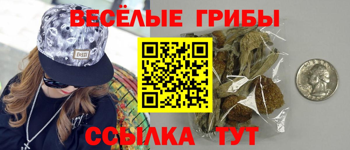 Галлюциногенные грибы прущие грибы Славянск-на-Кубани