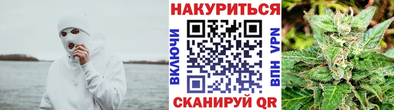 Шишки марихуана сатива  Славянск-на-Кубани 